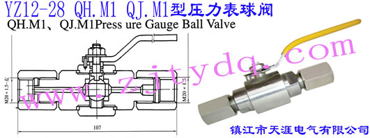 YZ12-28 QH.M1 QJ.M1型壓力表球閥YZ12-28 QH.M1 QJ.M1 Pressure Gauge Ball Valve